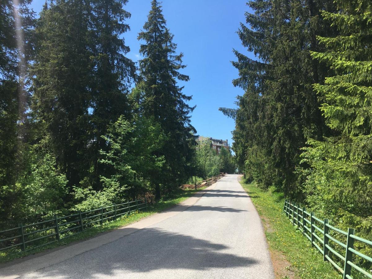 Apartman S Vyhladom Na Stity Ovruc 312 Strbske Pleso Exterior photo